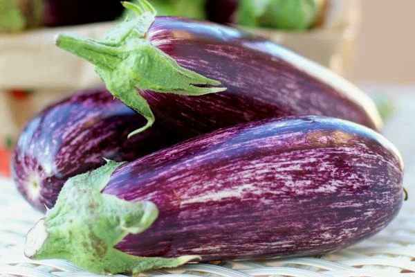 UK Price of Eggplant Soars to $1,832 per Ton
